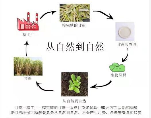 環(huán)保紙漿餐具多長時間可以完全降解？